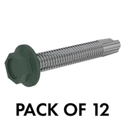 Screws - Self Tapping HEX Flange Head Screws (Bags 12)